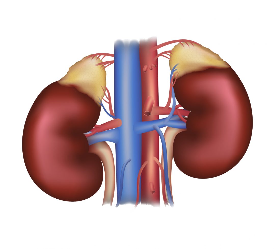 Verstopping van de slagaders in darm